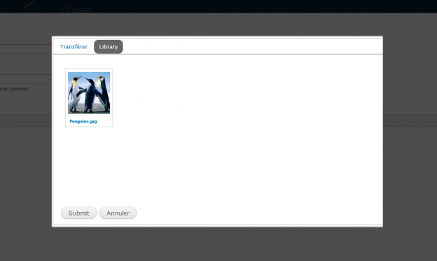 Intégrer un uploader des fichiers dans Drupal avec le module wysiwyg